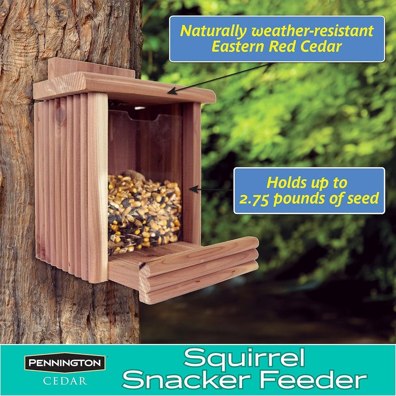 Pennington Cedar Squirrel Snacker Feeder, 2.75 LB Capacity (Pack of 2) - Image 3